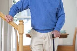 Thuốc trừ sâu trong sữa gây bệnh Parkinson