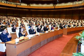Ứng cử ĐBQH, HĐND khóa tới có gì mới?