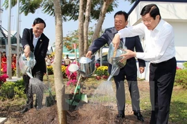 Chủ tịch nước phát động tết trồng cây