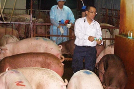 Truy tận gốc nơi cung cấp chất tạo nạc