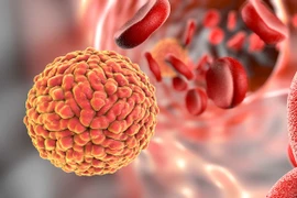 Không phát hiện virus Zika, địa phương chịu trách nhiệm