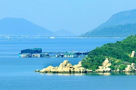 Người quyết liệt chống dự án thép chục tỉ đô ở Vịnh Vân Phong 