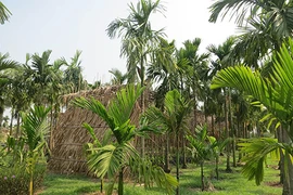 Nhớ Sài Gòn… khi ở Sài Gòn