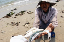Kết nối
