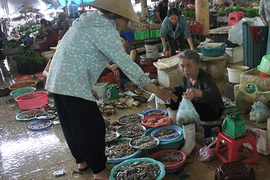 Đã đến lúc dù khó cũng phải có!