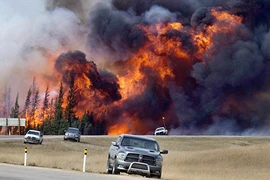 Các doanh nghiệp dầu mỏ sốt ruột do cháy rừng ở Canada 