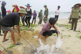 Vụ cá chết trên sông Bưởi: Tham mưu chưa kịp thời