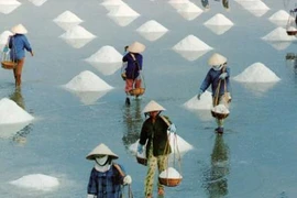 Đảm bảo chất lượng nước biển làm muối 