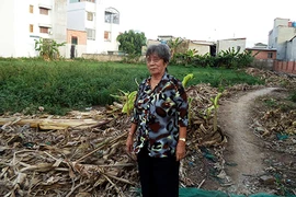 Tòa dùng ‘từ lạ’, khó thi hành án 