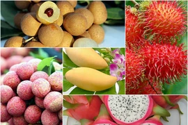 Nhiều loại trái cây tăng giá, không đủ hàng xuất khẩu