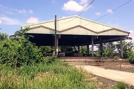 Cho vay để xây nông thôn mới, bị kỷ luật