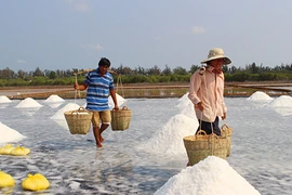Diêm dân Cần Giờ tiếp tục khổ vì muối rớt giá thê thảm