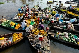 Cần Thơ phải ‘kích’ cả miền Tây phát triển