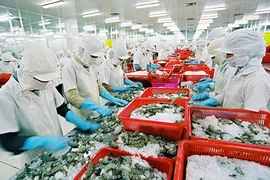 Xin chứng nhận thủy sản khai thác: Vướng quy định mới 