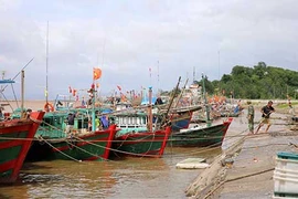 Bão số 1 hướng vào tỉnh Thái Bình, Ninh Bình