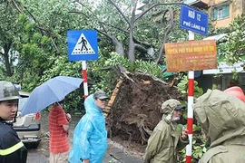 Hậu quả nặng nề từ bão số 1, do đâu?