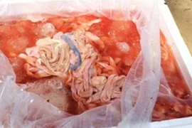Gần 6 tấn da trâu bò, nội tạng thối trên 2 xe tải