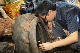 Bệnh sốt xuất huyết ở Tây Nguyên cao gấp hàng chục lần cả nước