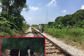 Vụ thuê người chặt tay, chân: ‘Không khởi tố là bỏ lọt tội phạm’