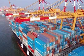Hãng tàu biển khổng lồ sụp đổ: Nhà xuất khẩu Việt mất ngủ 