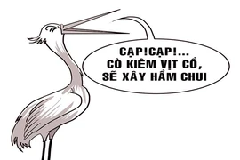 ‘Cò’ đất dính đòn ‘hồi mã thương’