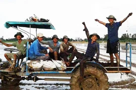 Người làm ra gạo sạch bán cháy hàng tại TP.HCM