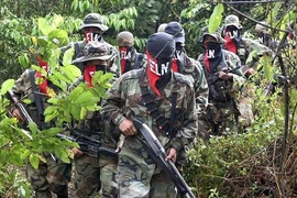 Colombia tiếp tục đàm phán hòa bình với ELN