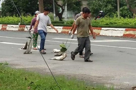 Dân mang cá chết chặn QL51 
