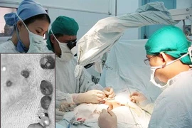 Trào lưu bơm to ‘cậu nhỏ’