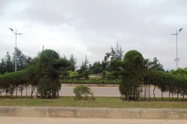 Mô hình rồng tại Đồng Hới xấu vì chưa hoàn thiện