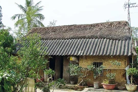 Vẩn vơ về ngôi nhà Nam Bộ