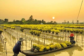 Giày cỏ, áo lụa và ghe lườn