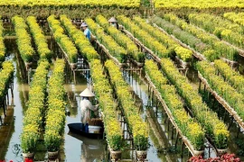 Khi lãnh đạo bắt tay làm du lịch