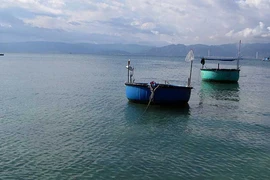 Lớp chất thải dày 3 m sẽ phủ 30 ha đáy biển Tuy Phong?
