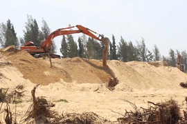 Bộ Công an vào cuộc vụ phá rừng ở Phú Yên