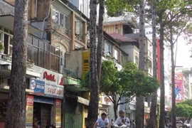 Cây xanh cần thì cứ đốn nhưng…