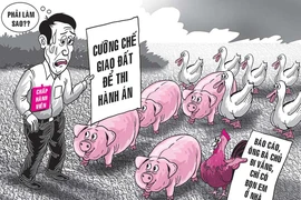 Chấp hành viên ‘nhức đầu’ vì… heo, gà, vịt