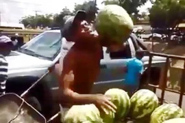 Clip: 'Thánh' bắt dưa hấu