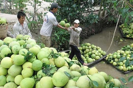 Những kiểu làm ăn ‘lạ đời’ của thương lái Trung Quốc