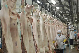 Thịt heo dư thừa, sao không xuất khẩu được?