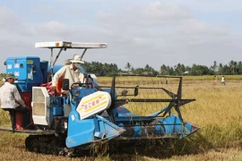 Tích tụ ruộng đất phải theo quy luật thị trường