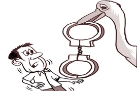 Lùa vịt của em, mang bán cho… anh 