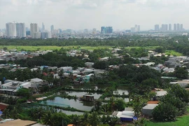 Giá nhà, đất nhảy múa theo cầu Cát Lái, Cần Giờ 