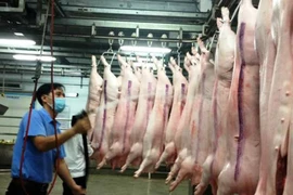 Đã xuất khẩu hàng chục ngàn tấn thịt heo 