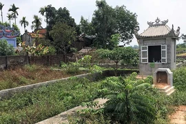 Trưởng thôn bị truy tố tội lợi dụng chức vụ, quyền hạn