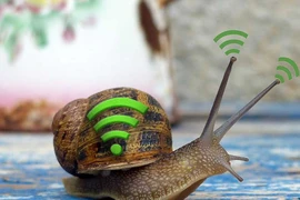 Những lý do khiến tốc độ WiFi bị chậm 