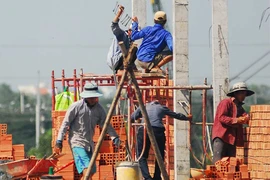 TP.HCM nghiên cứu không cấp phép xây nhà riêng lẻ