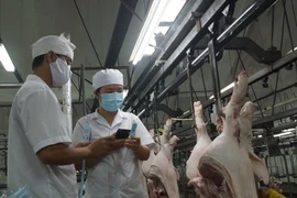 Một chiếc bánh sôcôla phải cõng... 13 giấy phép