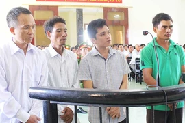 Quan chức nào ‘dính’ vụ phá rừng phòng hộ Phú Yên?