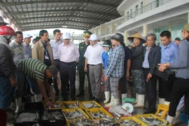 Ban Quản lý an toàn thực phẩm: Vẫn chủ yếu đi phạt